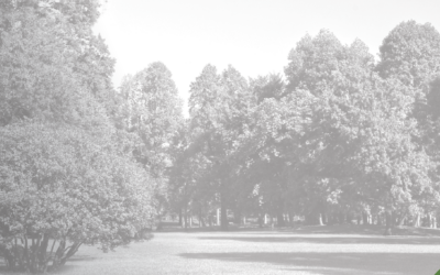 Hydro-Gear Returns to GCSAA with Innovative Drive Solutions